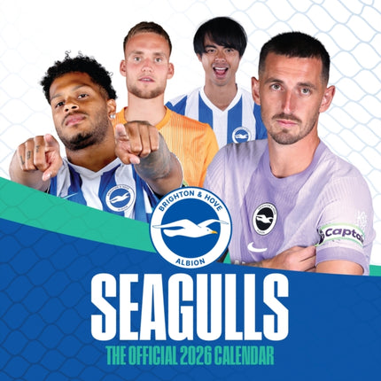 The Official Seagulls Desk Calendar 2026