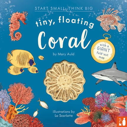 Tiny Floating Coral