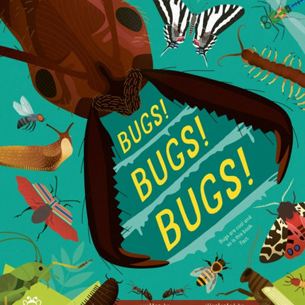 Bugs Bugs Bugs