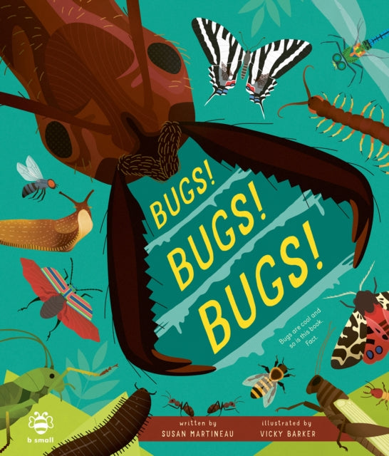 Bugs Bugs Bugs