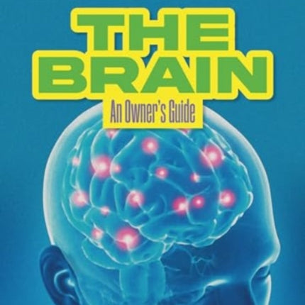 The Brain