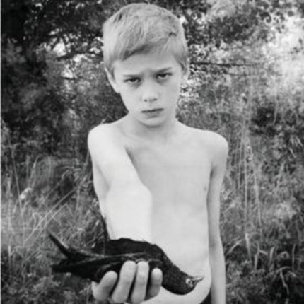 Down Came a Blackbird