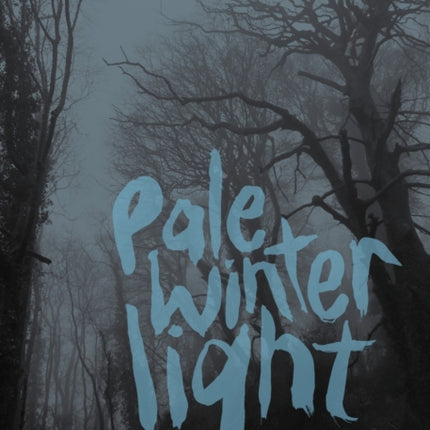Pale Winter Light