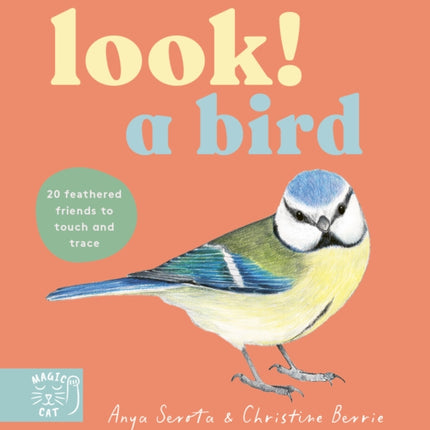 Look A Bird