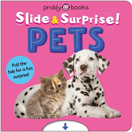 Pets Slide  Surprise
