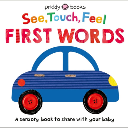 See Touch Feel First Words