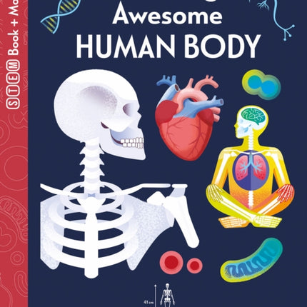 Amazing Awesome Human Body