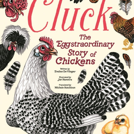 Cluck A Complete Story of Chickens