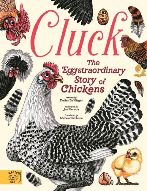 Cluck A Complete Story of Chickens
