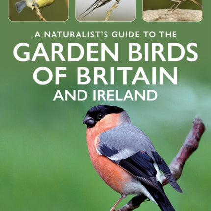 A Naturalists Guide to Garden Birds of Britain  Ireland