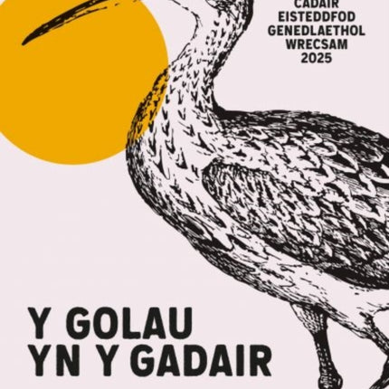 Y Golau yn y Gadair