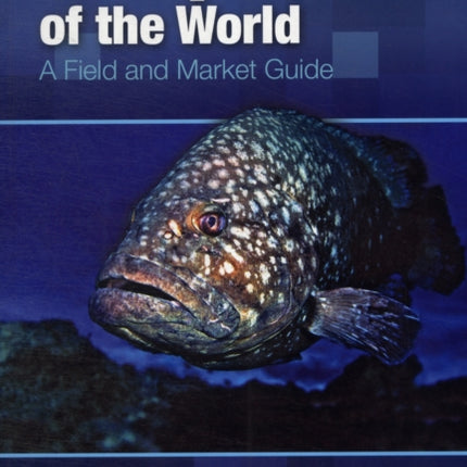 Groupers of the World: A Field and Market Guide