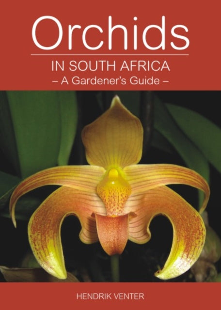 Orchids in South Africa: A gardener’s guide