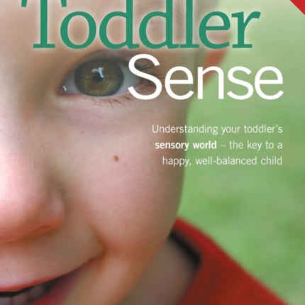 Toddler sense: Understanding your toddler's sensory world