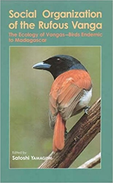 Social Organization of the Rufous Vanga: The Ecology of Vangas - Birds Endemic to Madagascar