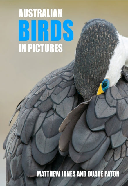 Australian Birds in Pictures