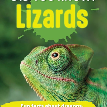 Did You Know Lizards