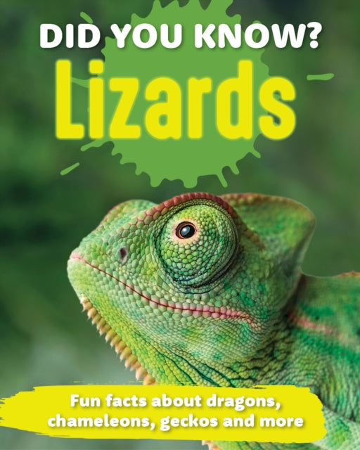 Did You Know Lizards