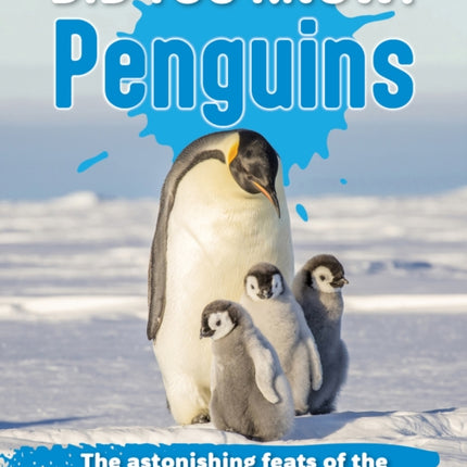 Did You Know Penguins
