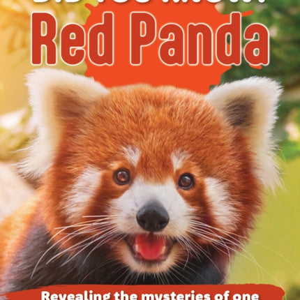 Did You Know Red Panda