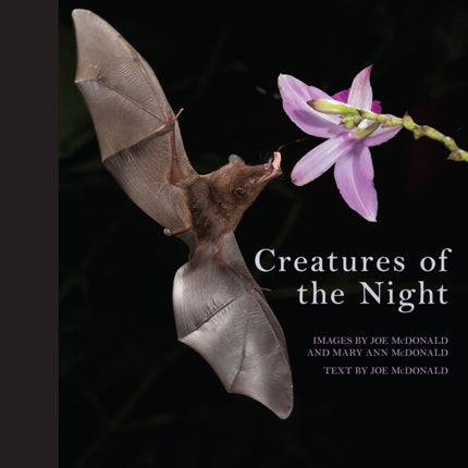 Creatures of the Night