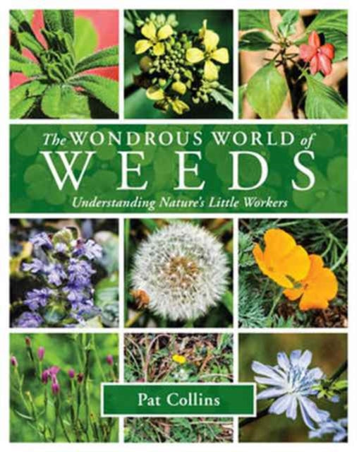 The Wondrous World of Weeds