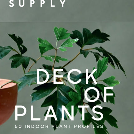 Leaf Supply Deck of Plants