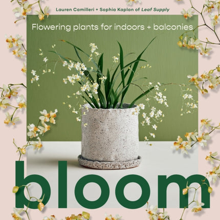 Bloom: Flowering plants for indoors and balconies