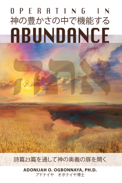 Operating in Abundance Japanese Edition