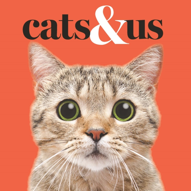 Cats  Us