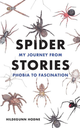 Spider Stories: My Journey from Phobia to Fascination