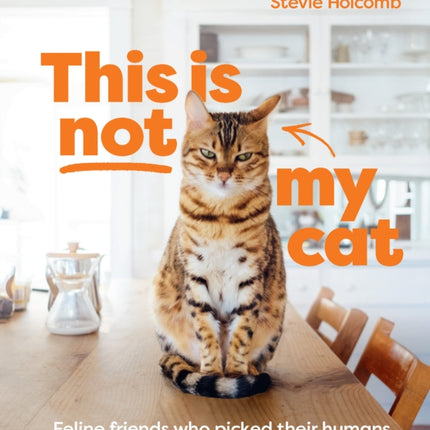 This is not my cat: Feline friends who picked