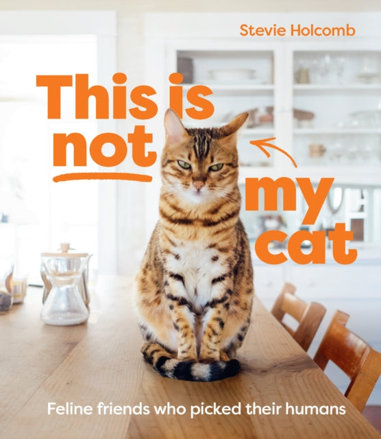 This is not my cat: Feline friends who picked