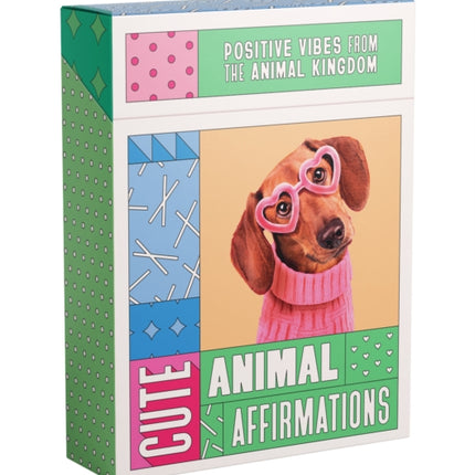 Cute Animal Affirmations: Positive vibes from the goodest boys in the animal kingdom