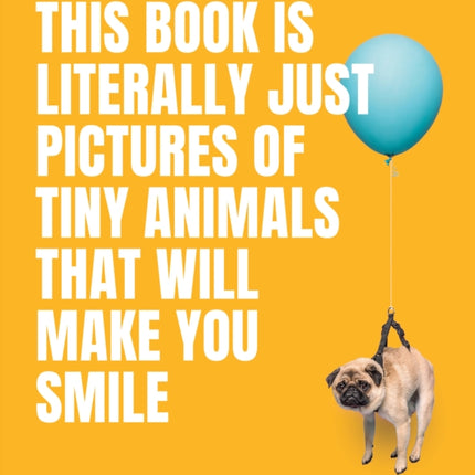 This Book Is Literally Just Pictures of Tiny Animals That Will Make You Smile