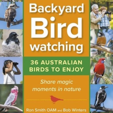 Backyard Birdwatching