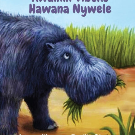Why Hippos Have No Hair - Kwanini Viboko Hawana Nywele