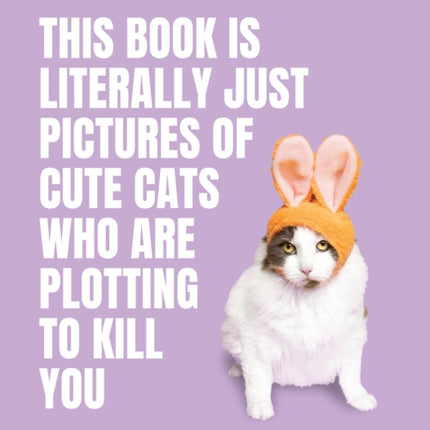 This Book is Literally Just Pictures of Cute Cats