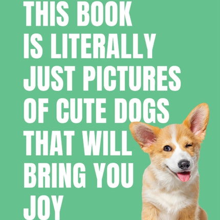 This Book is Literally Just Cute Dogs That Will Bring You Joy