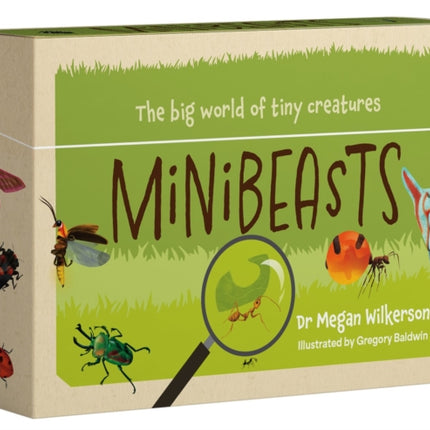 Minibeasts