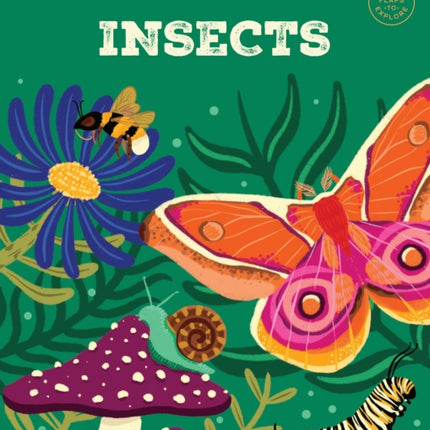 Lift the Fact Insects