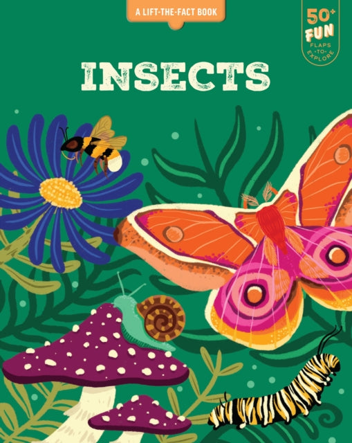 Lift the Fact Insects