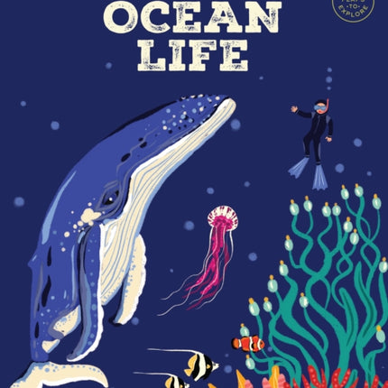 Lift the Fact Ocean Life