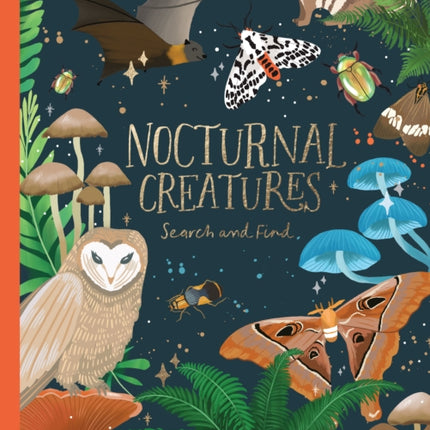 Nocturnal Creatures Search and Find