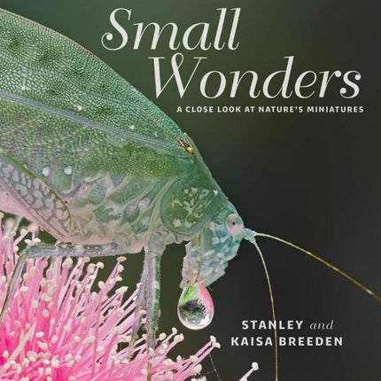 Small Wonders