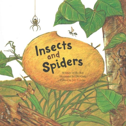 Insects and Spiders: Insects and Spiders