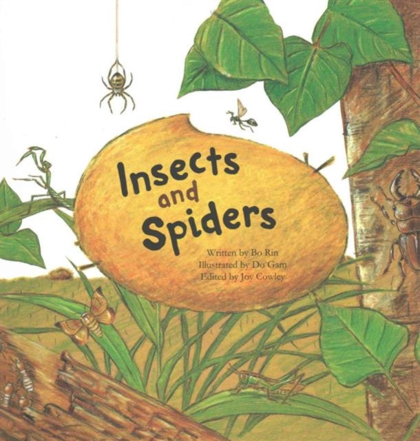 Insects and Spiders: Insects and Spiders