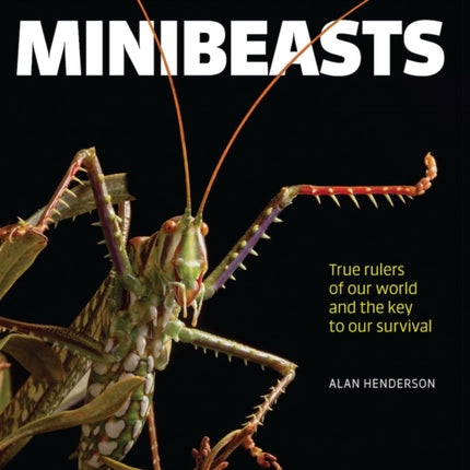 Minibeasts: True rulers of our world and the key to our survival