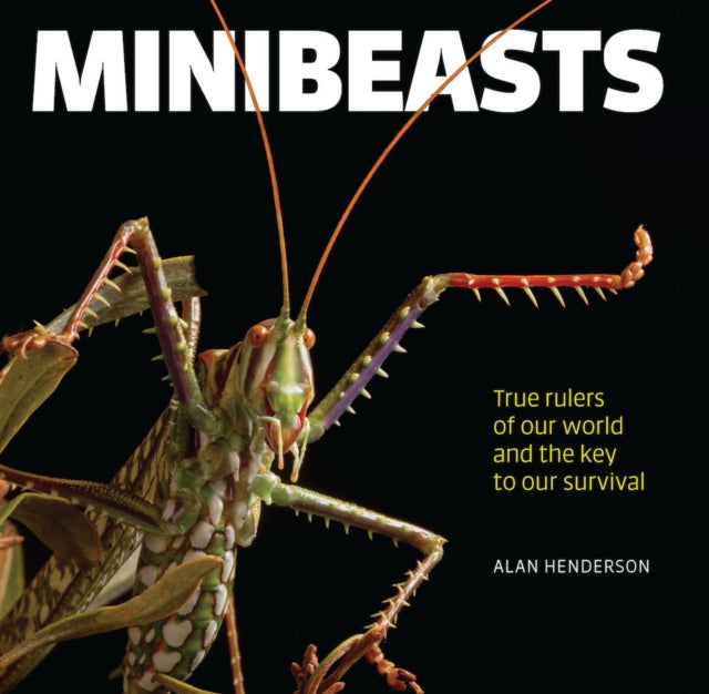 Minibeasts: True rulers of our world and the key to our survival