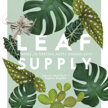 Leaf Supply